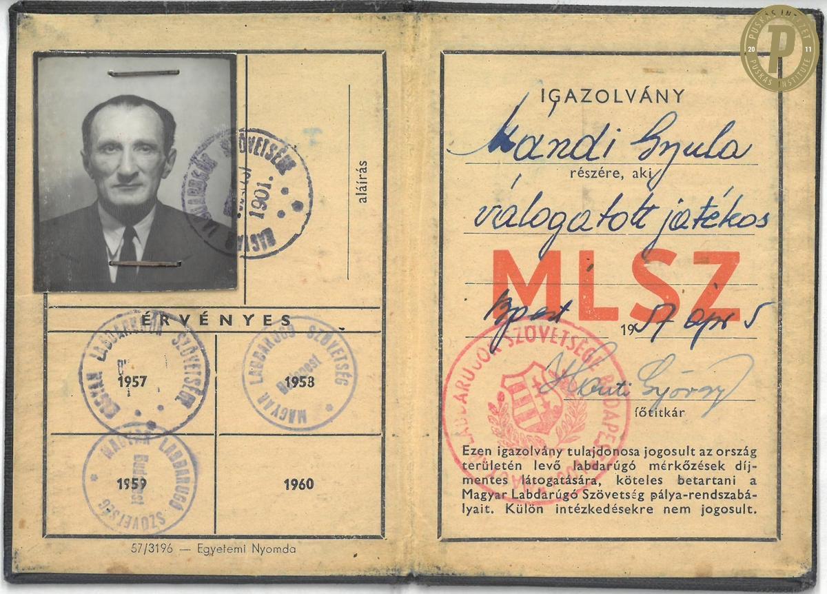 Mándi Gyula 125