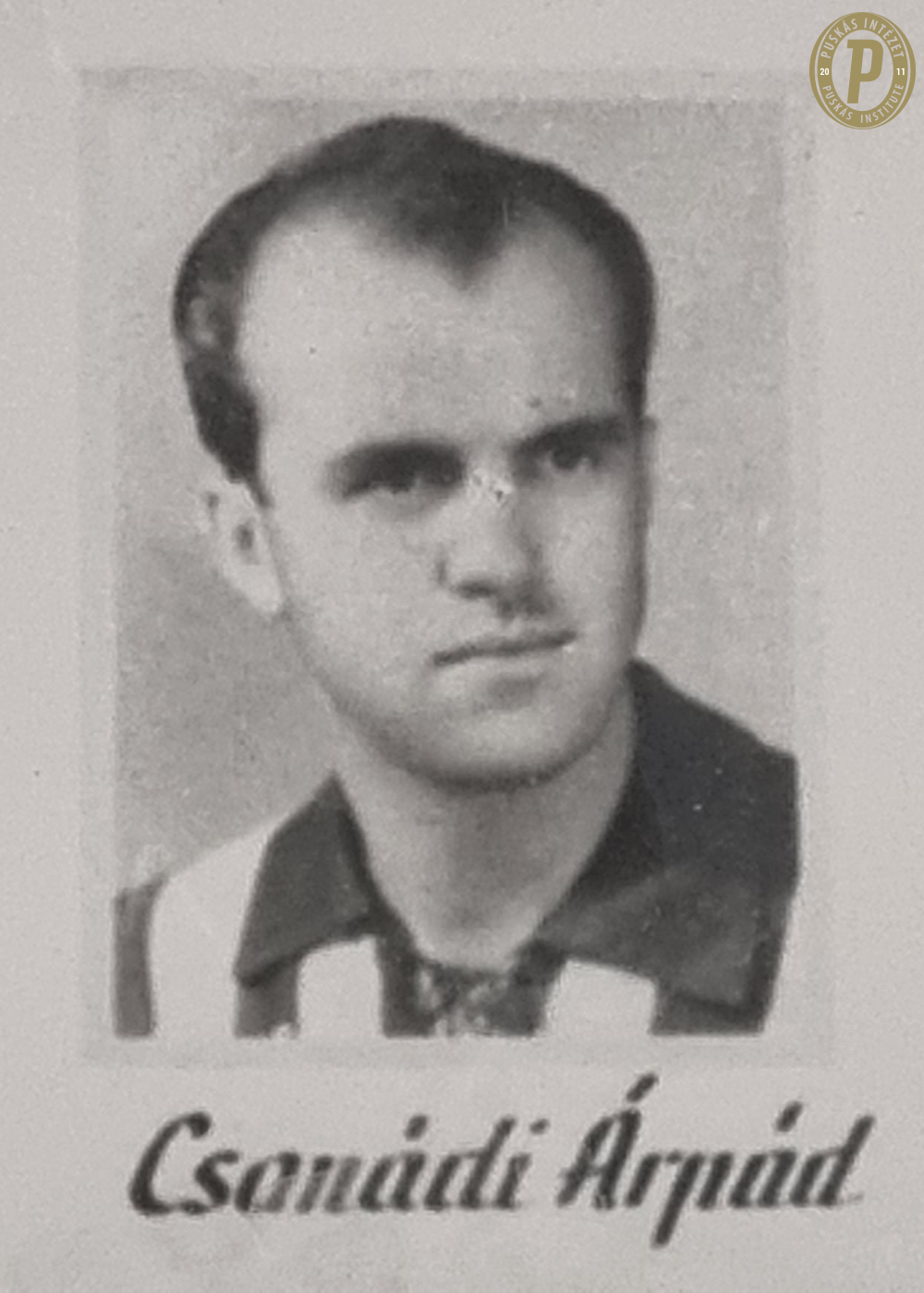 Csanádi Árpád 100